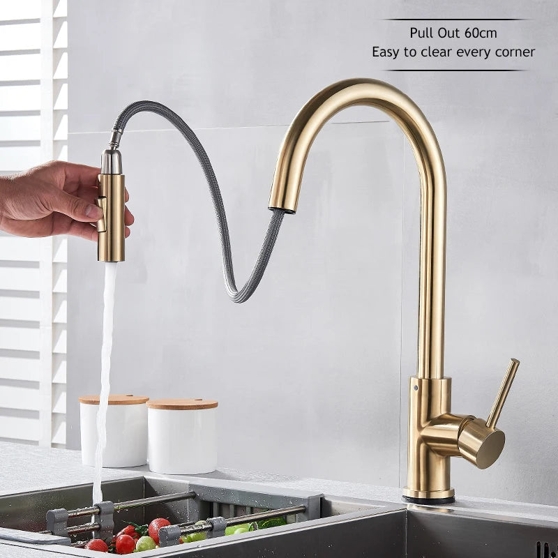 Wanmivezlo Pull-Out Touch Sensor Kitchen Faucet 360 Rotation
