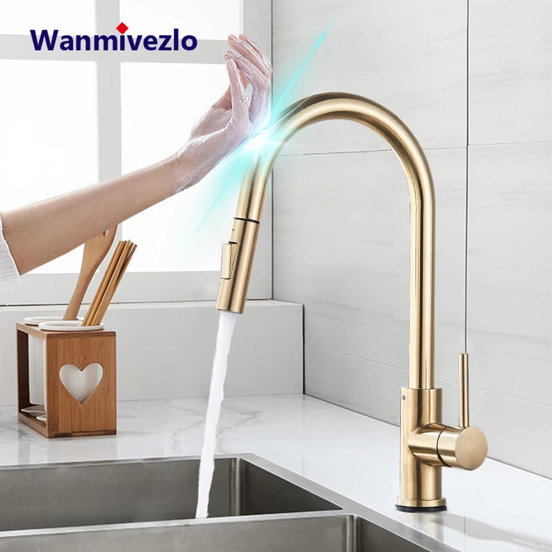 Wanmivezlo Pull-Out Touch Sensor Kitchen Faucet 360 Rotation
