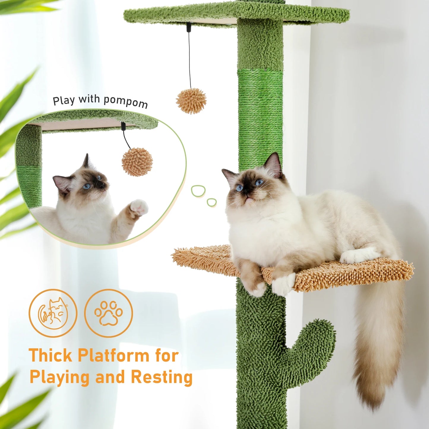 PAWZ Road 5 Tier Floor to Ceiling Cat Tree Scratching