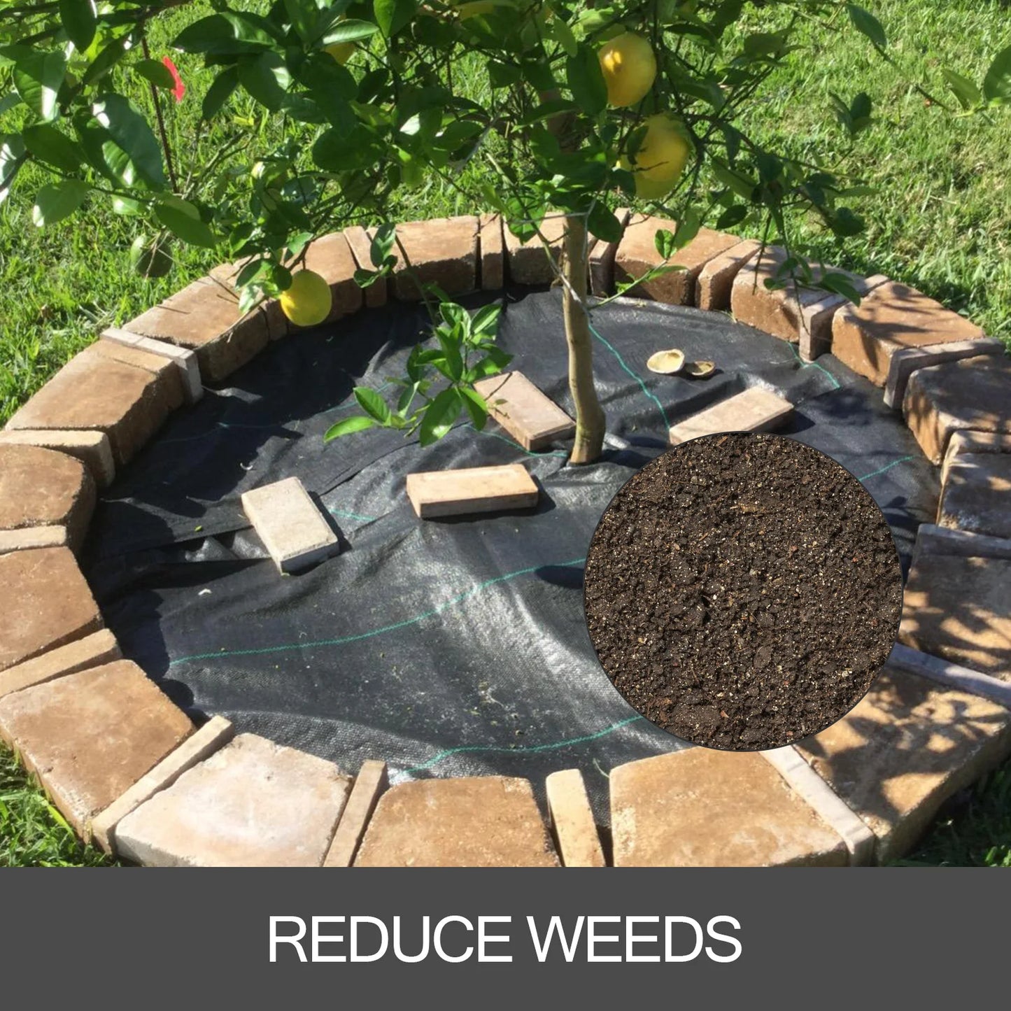 SucceBuy Landscape Fabric Weed Barrier Heavy Duty Ground Cover